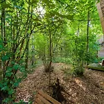 Forest Escape *
