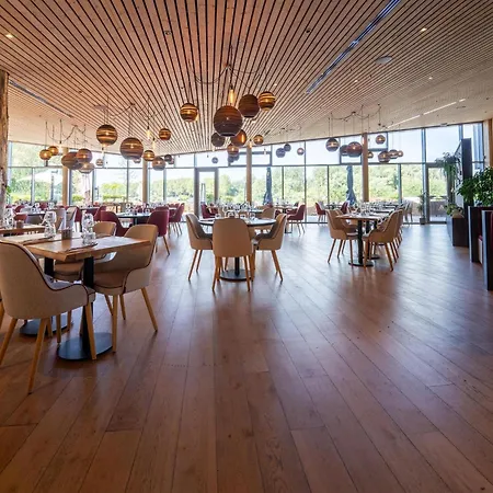 Semesterbostad Forest Escape