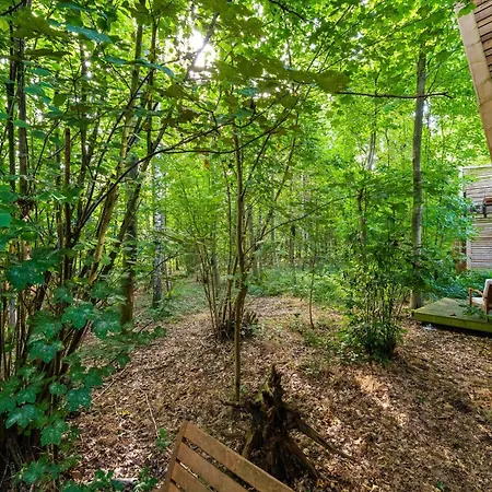 Forest Escape *