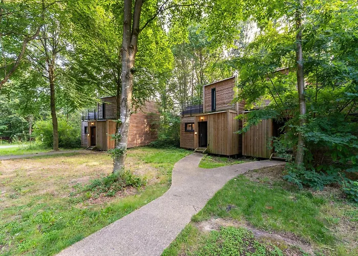 Forest Escape Antoing