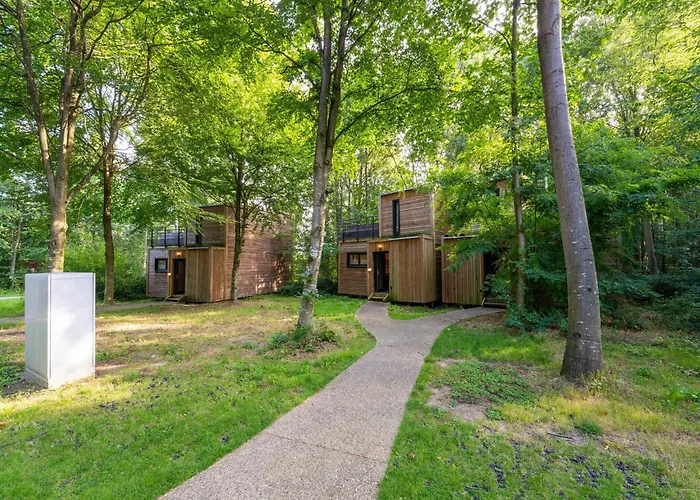 Forest Escape Dom wakacyjny *