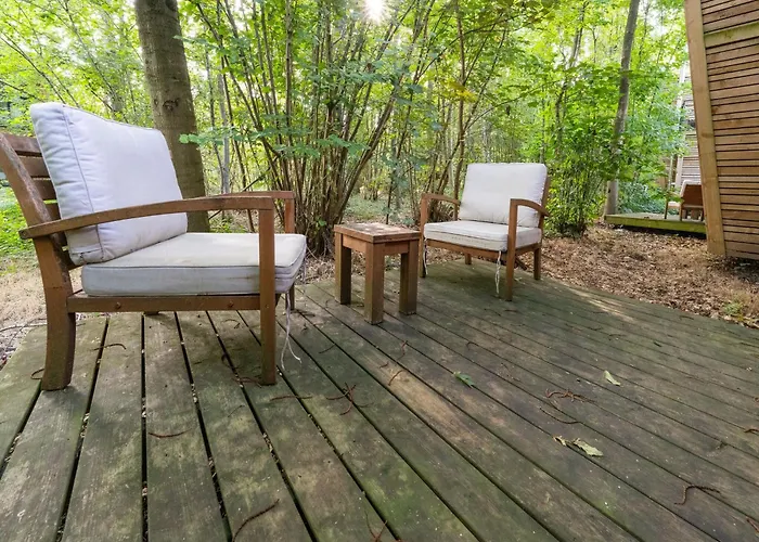 Forest Escape Dom wakacyjny