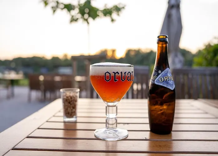 Forest Escape Dom wakacyjny *