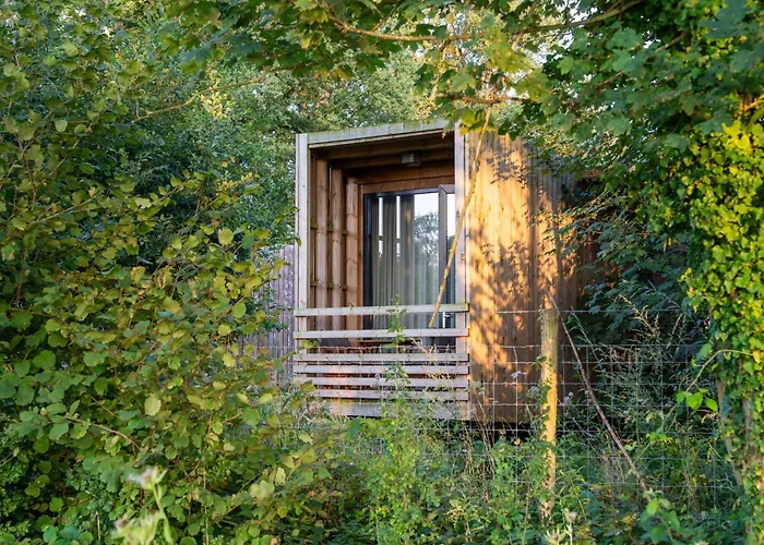 Forest Escape Dom wakacyjny *